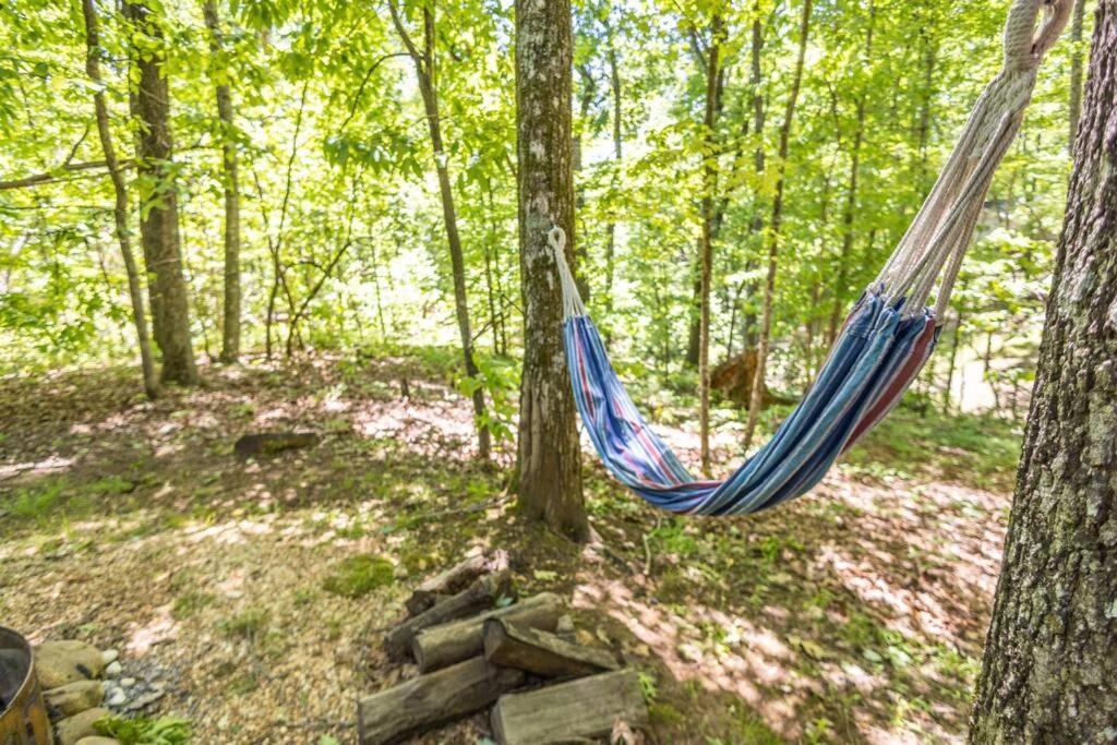 Pet Friendly Luxury Cabin Near Helen With Fire Pit 克利夫兰 外观 照片