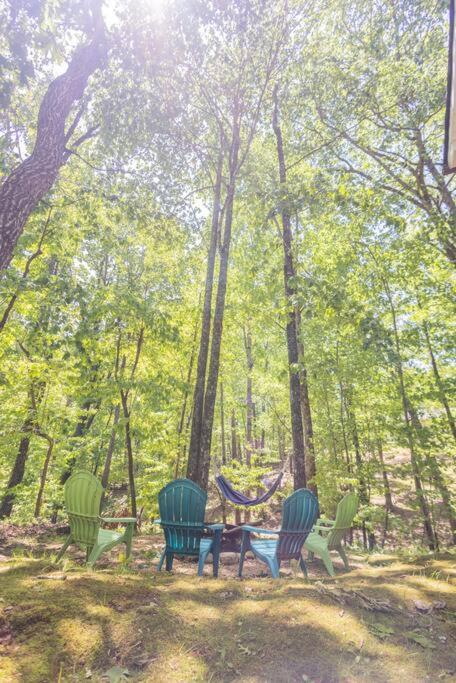 Pet Friendly Luxury Cabin Near Helen With Fire Pit 克利夫兰 外观 照片