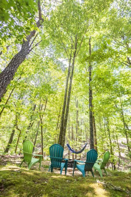 Pet Friendly Luxury Cabin Near Helen With Fire Pit 克利夫兰 外观 照片