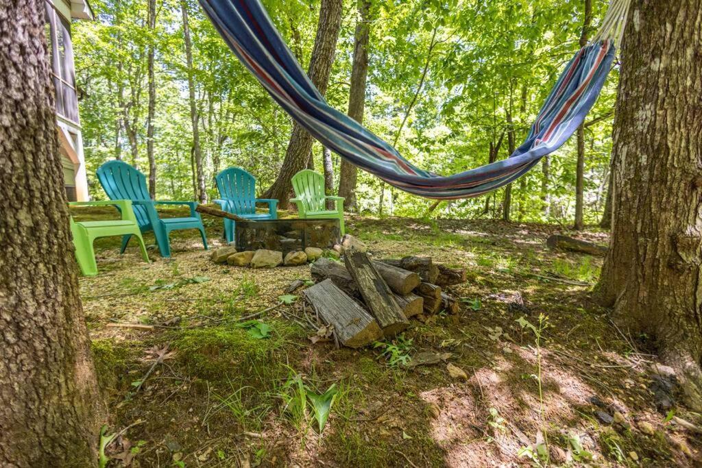 Pet Friendly Luxury Cabin Near Helen With Fire Pit 克利夫兰 外观 照片