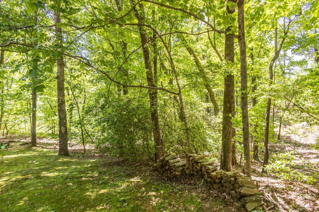 Pet Friendly Luxury Cabin Near Helen With Fire Pit 克利夫兰 外观 照片