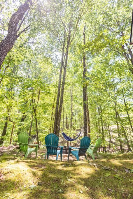 Pet Friendly Luxury Cabin Near Helen With Fire Pit 克利夫兰 外观 照片