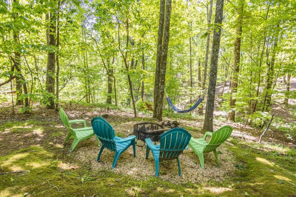 Pet Friendly Luxury Cabin Near Helen With Fire Pit 克利夫兰 外观 照片