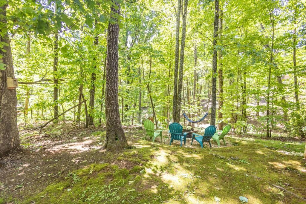 Pet Friendly Luxury Cabin Near Helen With Fire Pit 克利夫兰 外观 照片