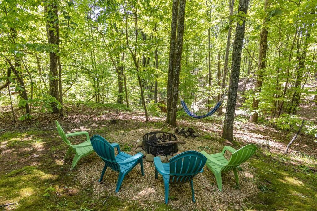 Pet Friendly Luxury Cabin Near Helen With Fire Pit 克利夫兰 外观 照片